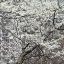 곤양축구장 이미지