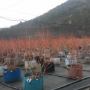 한나농장 이미지