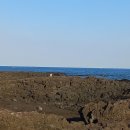 혼인지마을 이미지