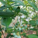 가온하우스 이미지