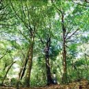 거니는집 이미지