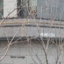 밤실경로당 이미지