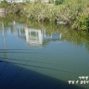 삼미낚시터 이미지