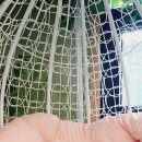 이츠펫(청당점) 이미지