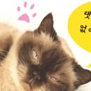 다연훠궈