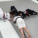 타이거 합기도장 이미지