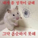 파주 정경아 의문사 미제사건..... 이미지