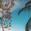 수영정석한의원 이미지