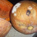 야문경로당 이미지