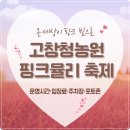 고창중앙 동물병원 | 2025 고창청농원 핑크뮬리 축제-운영시간·입장료·주차장·포토존 총정리