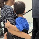 제2한기도담어린이집 | 힙시트아기띠 추천 육아필수템, 밀착력과 수납력까지 직접 사용 후기