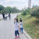 여의나루역 3번 출구 횡단보도 이미지