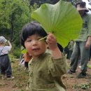 송제농원 이미지