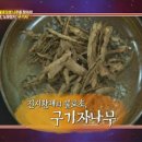 윤종흥농장 이미지