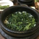 해밥달밥 이미지