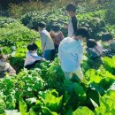 구립효성샛별어린이집 | 폐원 위기 어린이집, &#39;서울형 모아어린이집&#39;으로 첫 선정