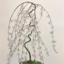 꿈의화원 이미지