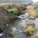 곡성-003 이미지