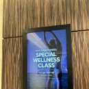 런호텔 | 파라다이스호텔 부산 뷰오리 썬라이즈 바이탈리티 런 촬영 모델 후기 해운대 러닝 이벤트