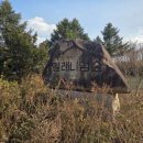 밀레니엄 이미지