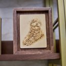 펫오케스트라 반려동물장례식장 이미지