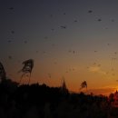 사진마을 이미지