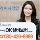 실버든든