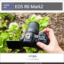 진화 주식회사 | 캐논 EOS R6 Mark2 풀프레임 미러리스 카메라 출사후기, 유튜브 촬영 장비