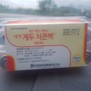계두농장 Daum카페
