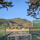 미원초등학교금관분교장 이미지