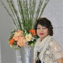 금성고등학교 이미지