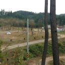 솔향기슈퍼 티스토리