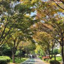 동목포공원1 이미지