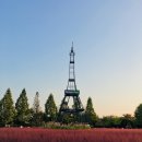 핑크파크 이미지