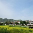 중방카워시 이미지