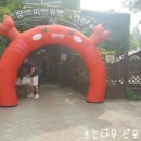 장미유치원 이미지