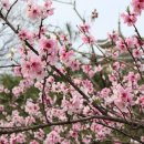 스테이가온해 이미지