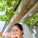 스튜디오 다섯 | 스튜디오 추천 (꼬모 스튜디오 계약 후기, 견적 공유)