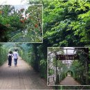 도두리길 이미지