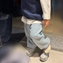 디그린 | 남대문 아동복 미니로브 디그린 26봄 31개월 남아 내돈내산 구매후기 사이즈팁
