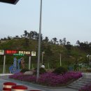 강릉충전소 이미지