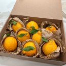 (주)올제 이미지