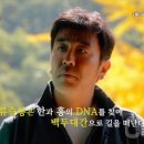 천만배우 류승룡과 함께한 &#39;백두대간 문화유산&#39; 제52회 휴스턴 국제영화제에서 금상 수상 이미지