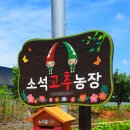 소석농장 네이버블로그