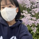베르뷰티