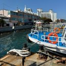 와 싸다 장터 | 통영어부장터축제 유람선 탑승위치 꿀팁 요트투어 꼭 하세요 (feat.2024 후기)