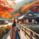 초당골한옥 | 화담숲 단풍놀이 추천코스와 한옥카페 산책로 서울근교 가을숲 힐링명소