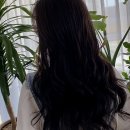 세븐일레븐안산스마트대로점 | 기분 전환엔 역시 헤어 스타일이지! 안산 고잔동 미용실 방문 후기