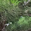 최우식노즈립성형외과의원 이미지