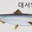 청어람로 이미지